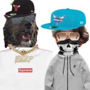 Meet your Posher, Sebastian